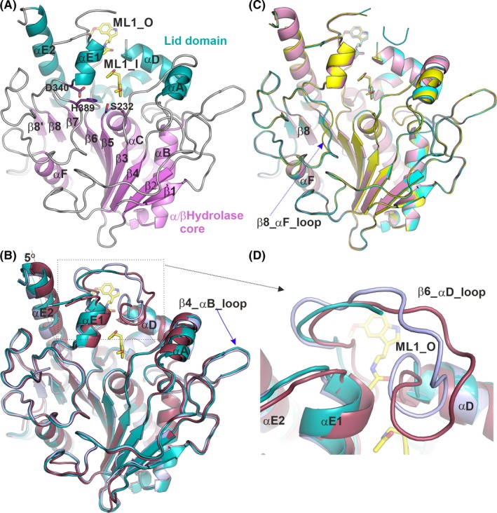 Figure 2