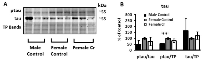 Figure 11