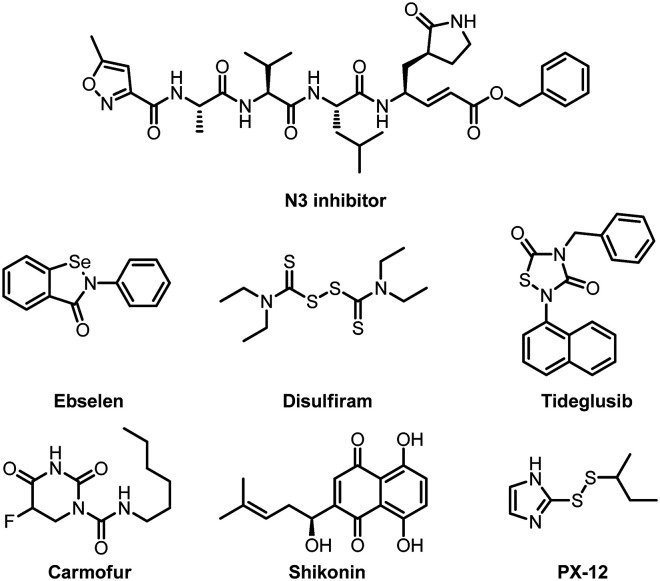 Fig. 12