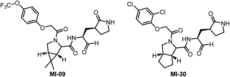 Fig. 15