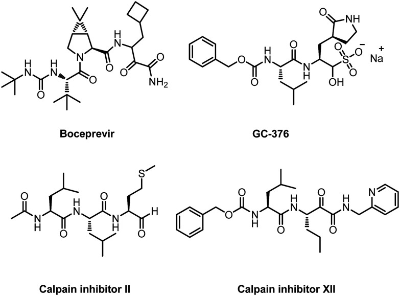 Fig. 8