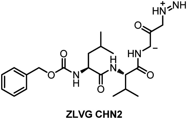 Fig. 19