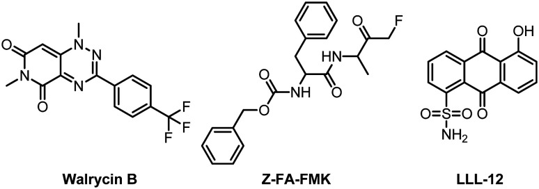 Fig. 13