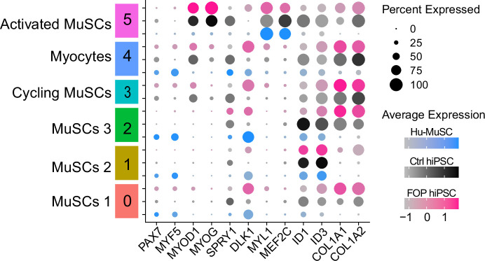 Figure 6—figure supplement 1.