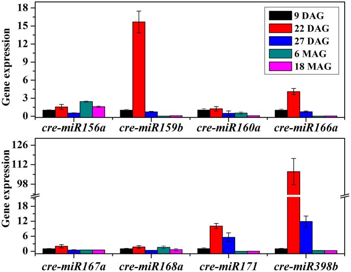 Figure 6