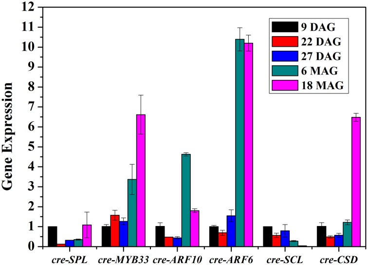 Figure 7