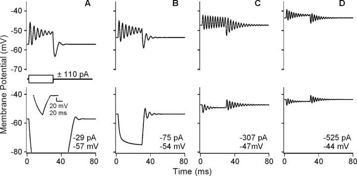 Figure 5.