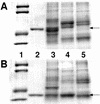 FIG. 5
