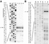 FIG. 6