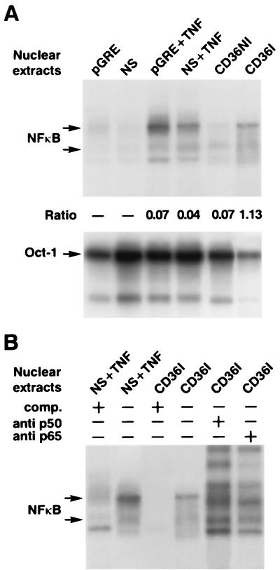 FIG. 8