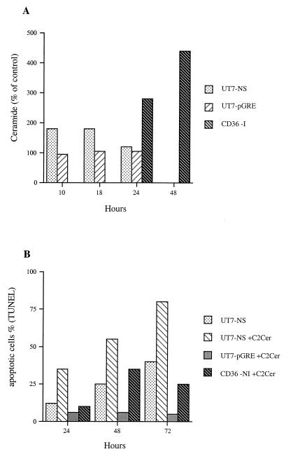 FIG. 7