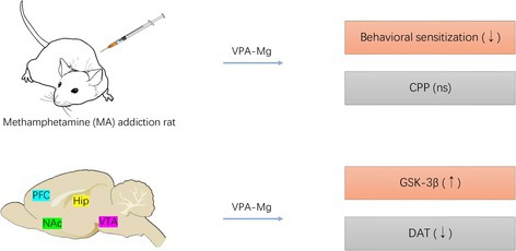 graphic file with name ADB-30-e70084-g004.jpg