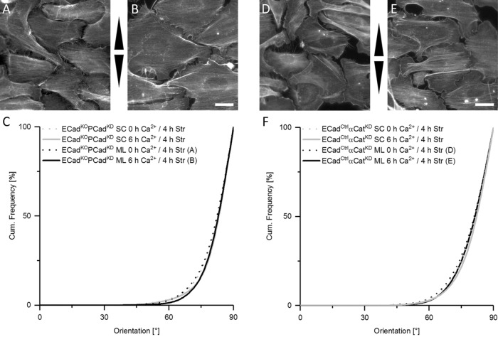 FIGURE 5: