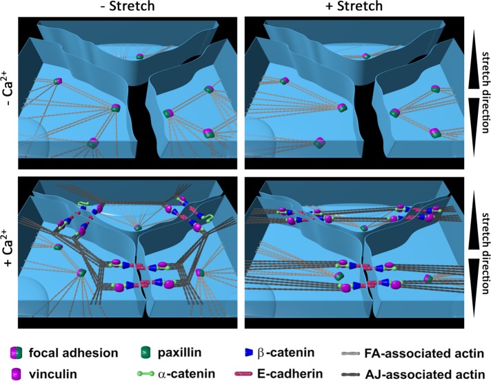 FIGURE 7: