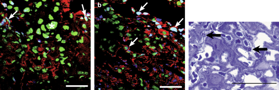 Fig. 4