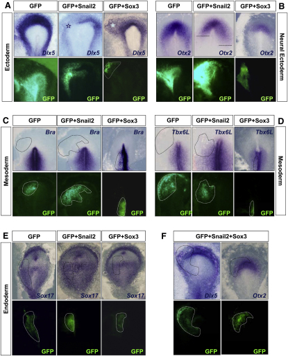 Figure 6