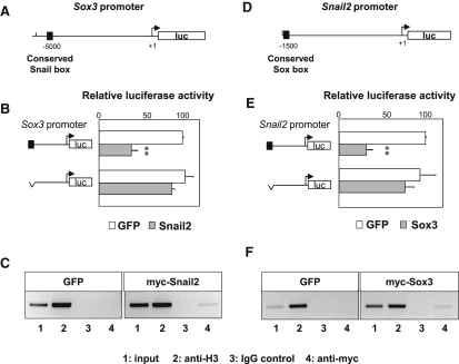 Figure 5