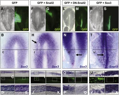 Figure 3