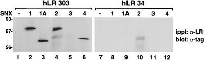 FIG. 9