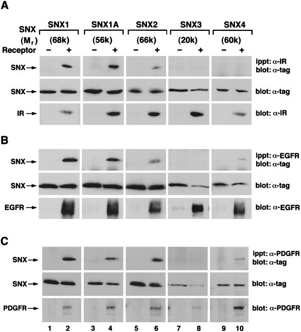 FIG. 7