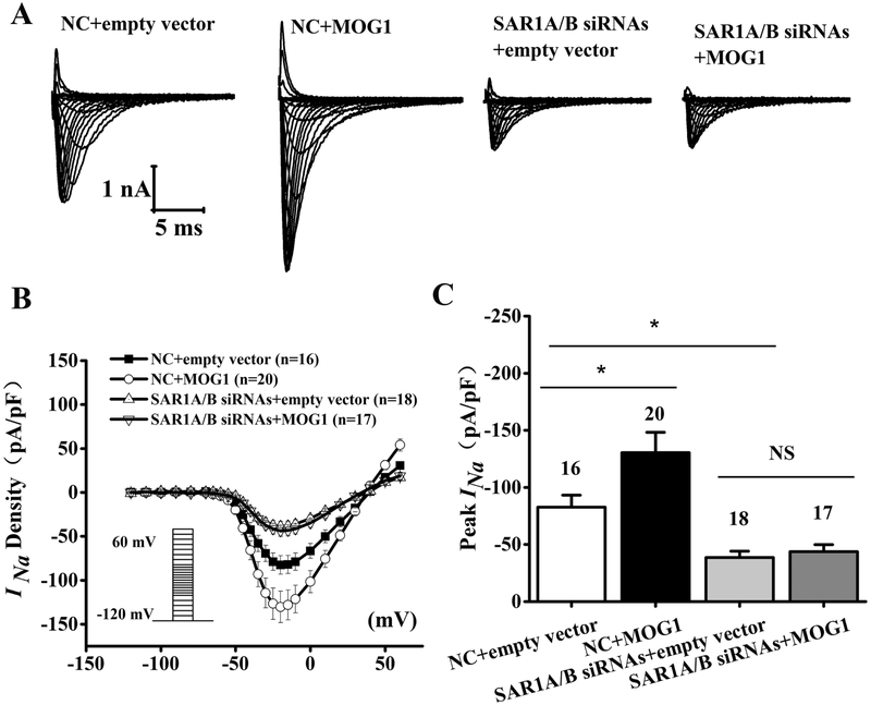 Fig. 8.