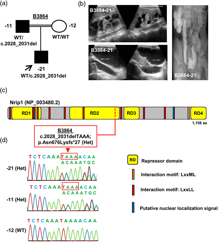 FIGURE 1