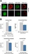 FIGURE 3: