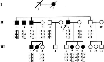 Figure  1