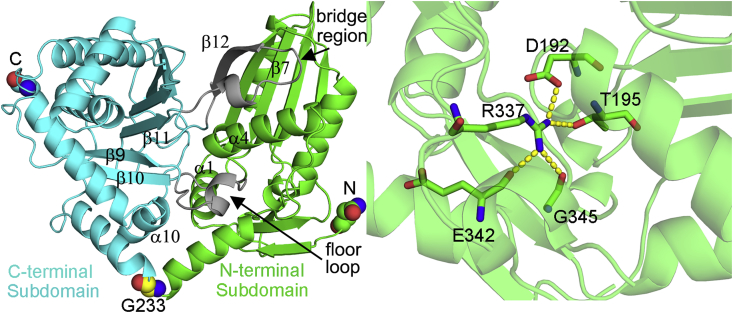 Fig. 2