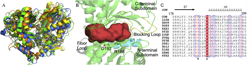 Fig. 3