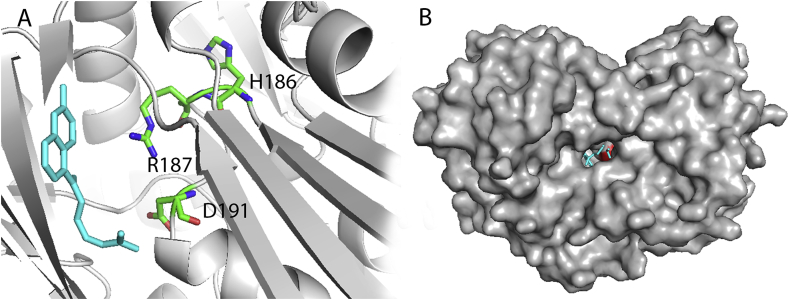 Fig. 5