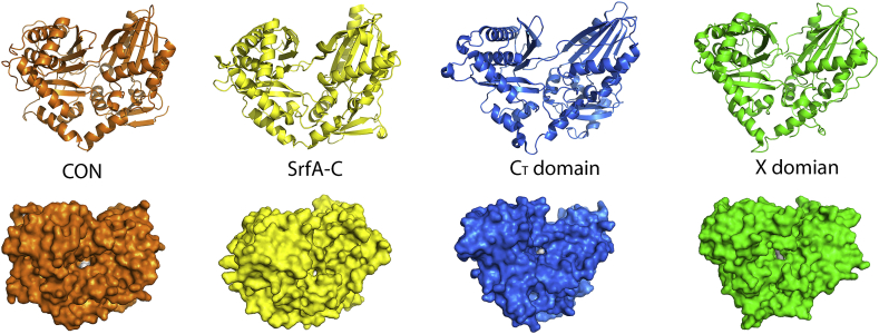 Fig. 4