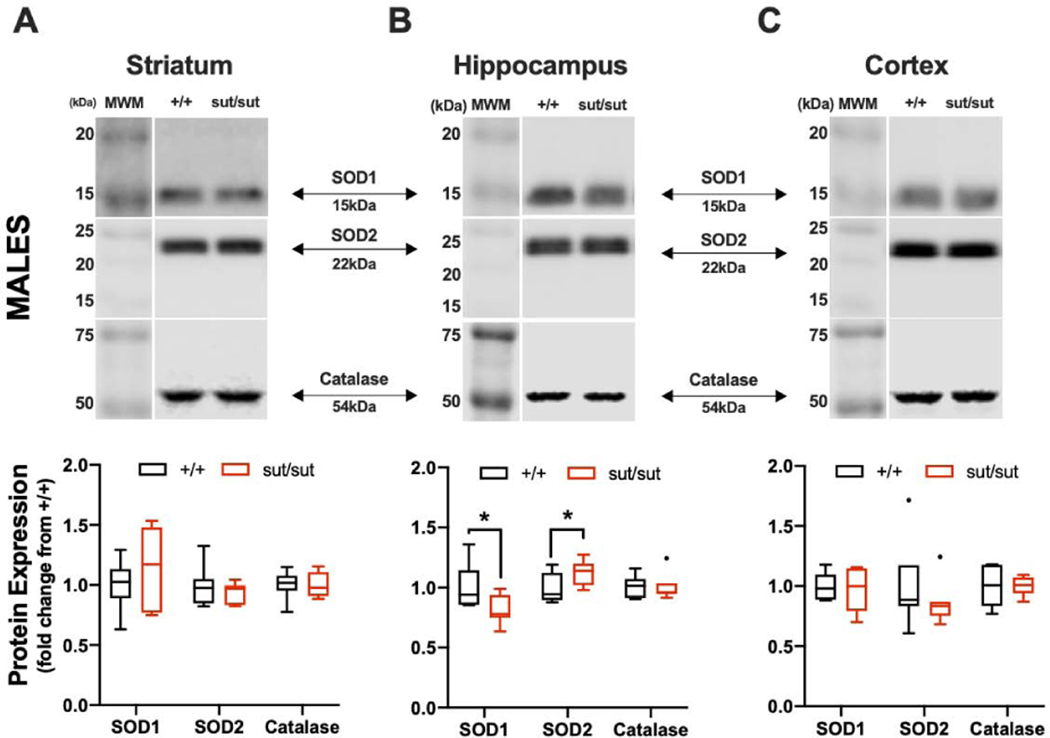 Figure 5: