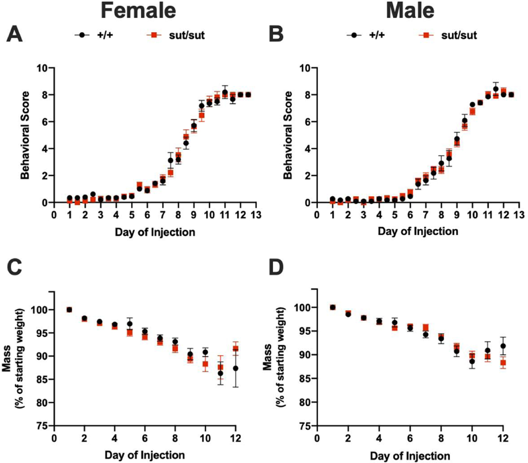 Figure 6: