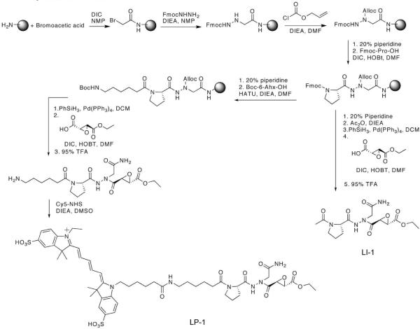 Scheme 1