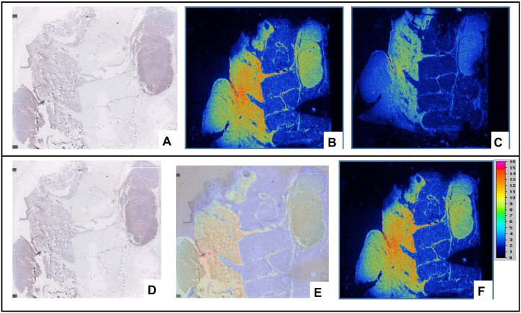 Fig 8