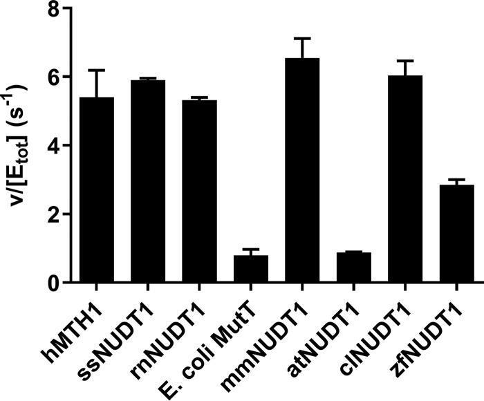 Figure 5.