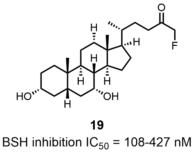 Figure 12