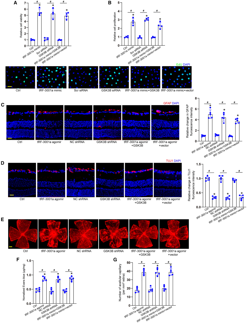 Figure 6