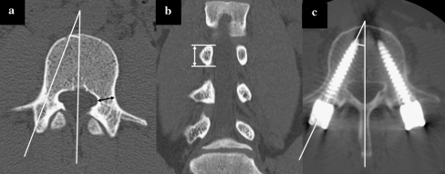 Fig. 3