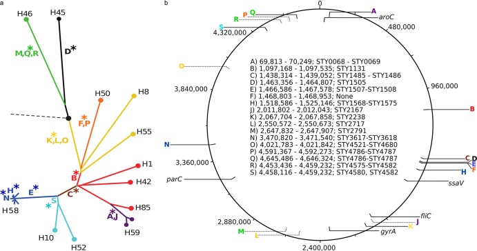 Fig 1