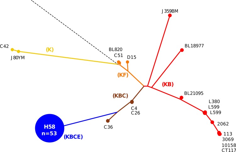 Fig 3