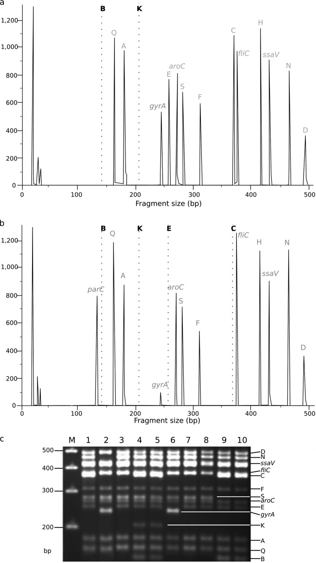 Fig 2