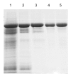 Fig. 5