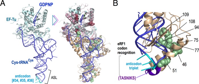 Figure 7.