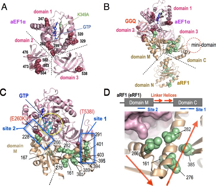 Figure 6.