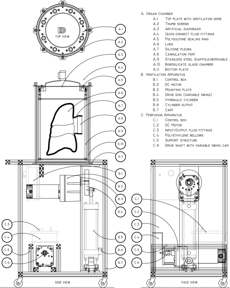 FIG. 1.