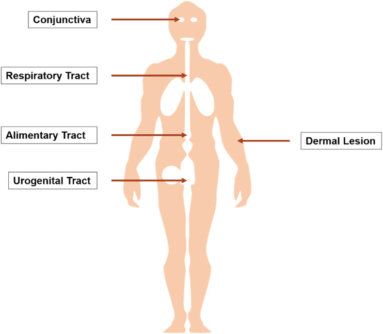 Fig. 4