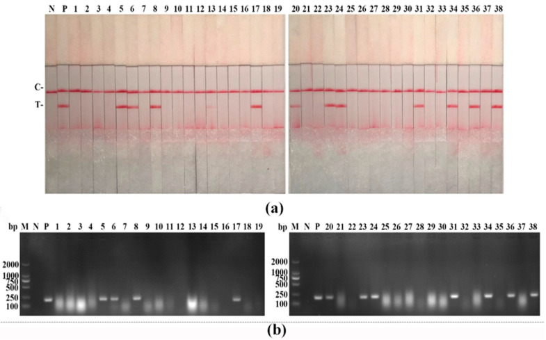 Figure 7