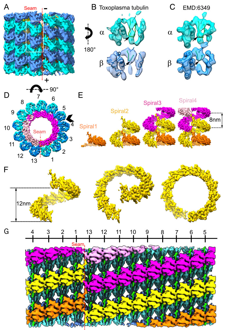 Fig. 3.